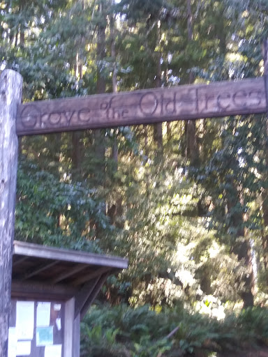 Nature Preserve «LandPaths Grove of Old Trees», reviews and photos, 17599 Fitzpatrick Ln, Occidental, CA 95465, USA