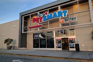 PetSmart image