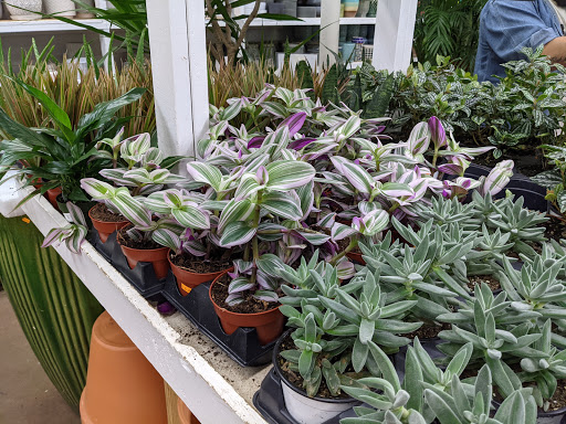 Florist «Metropolitan Plant & Flower», reviews and photos, 840 NJ-17, Paramus, NJ 07652, USA