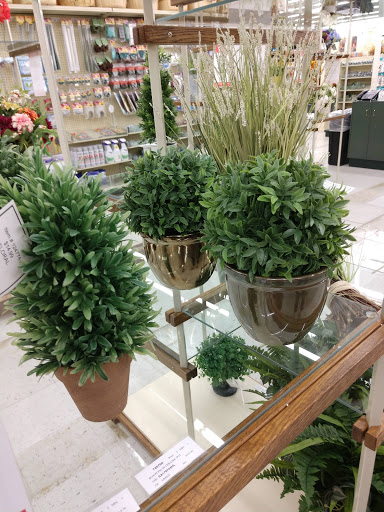 Craft Store «Hobby Lobby», reviews and photos, 3925 Dodge St, Dubuque, IA 52003, USA