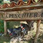 Photo n°2 de l'avis de Andrea.a fait le 25/08/2021 à 13:59 sur le  La Peschiera Agriturismo à Albareto