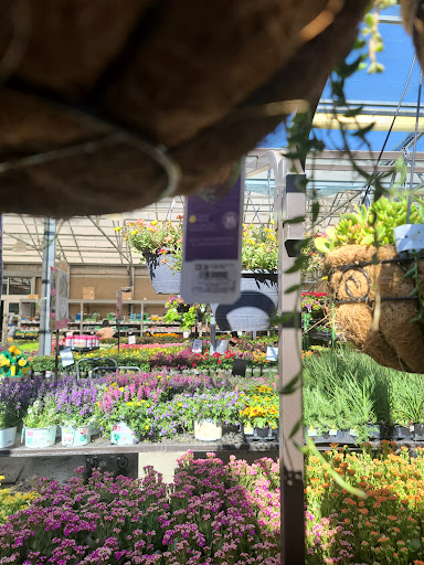 Lowes Home Improvement image