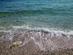 Olcabuk Plajı'in fotoğrafı doğal alan içinde bulunmaktadır