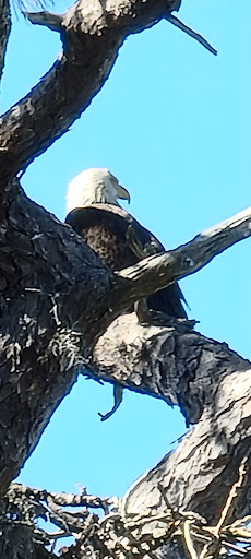 Bait Shop «J & J Bait and Tackle Outfitters II», reviews and photos, 1234 Baillies Bluff Road, Holiday, FL 34691, USA