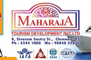 Maharaja Tourism Development Private Limited image