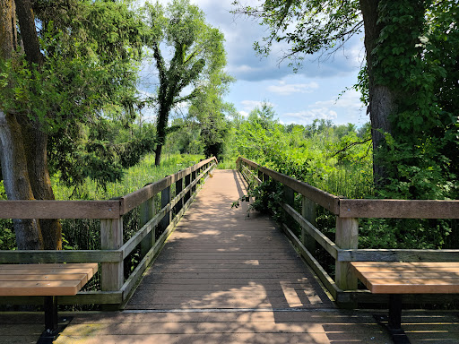 Indiana Dunes National Park Great Marsh Trail