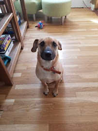 PKK9 - Photo 3 - Car repair in , Albuquerque