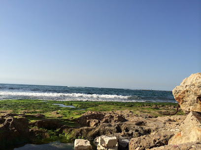 Abu Qir Beach