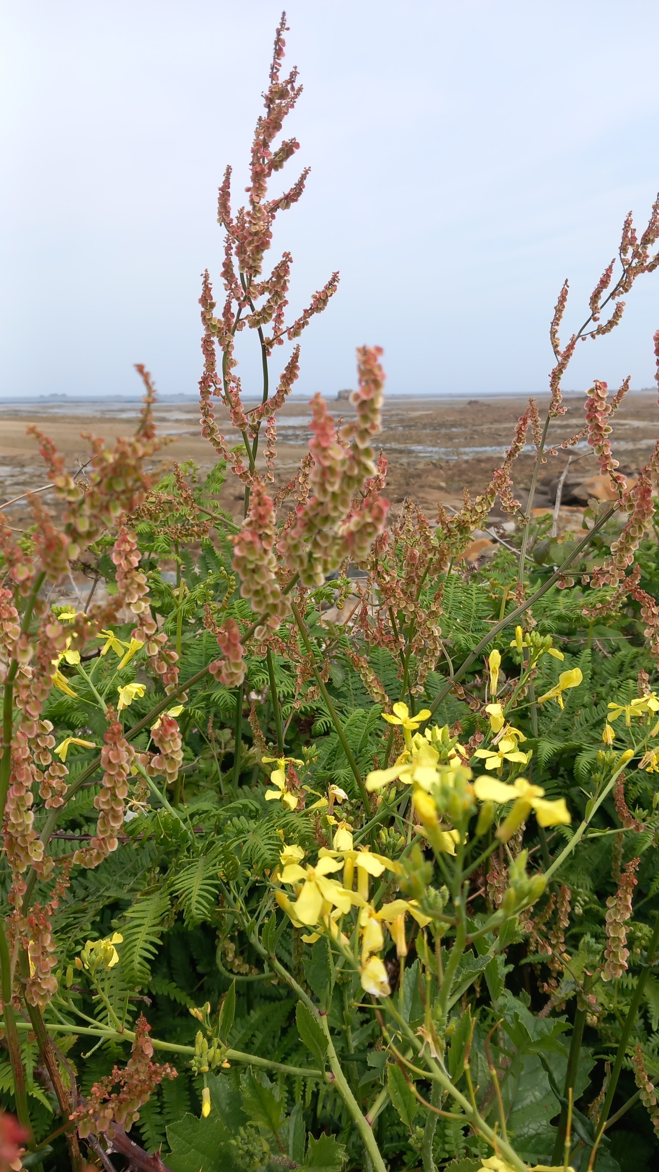 Photo n° 1 de l'avis de anthony.a fait le 18/05/2023 à 17:48