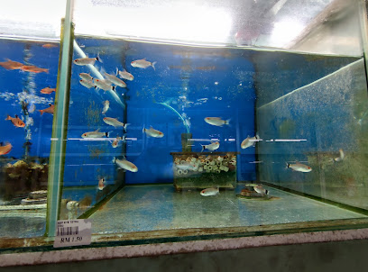 Aquarium Kosas