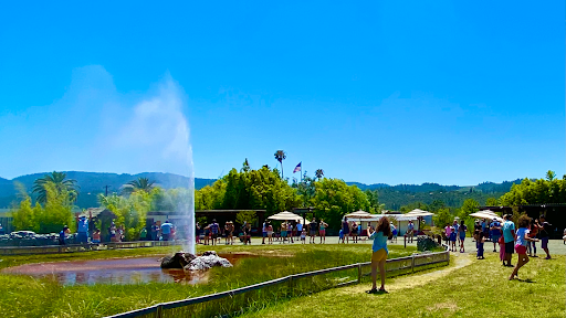 Tourist Attraction «Old Faithful Geyser of California», reviews and photos, 1299 Tubbs Ln, Calistoga, CA 94515, USA