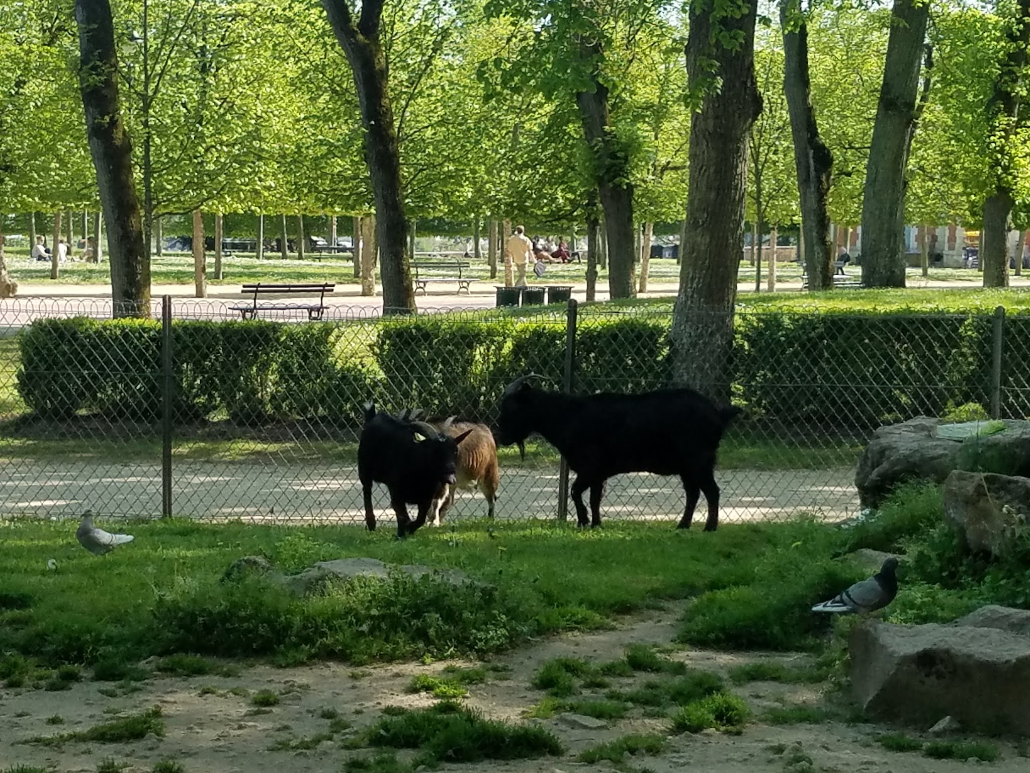 Photo n° 25 de l'avis de Elo.i fait le 14/09/2019 à 15:15