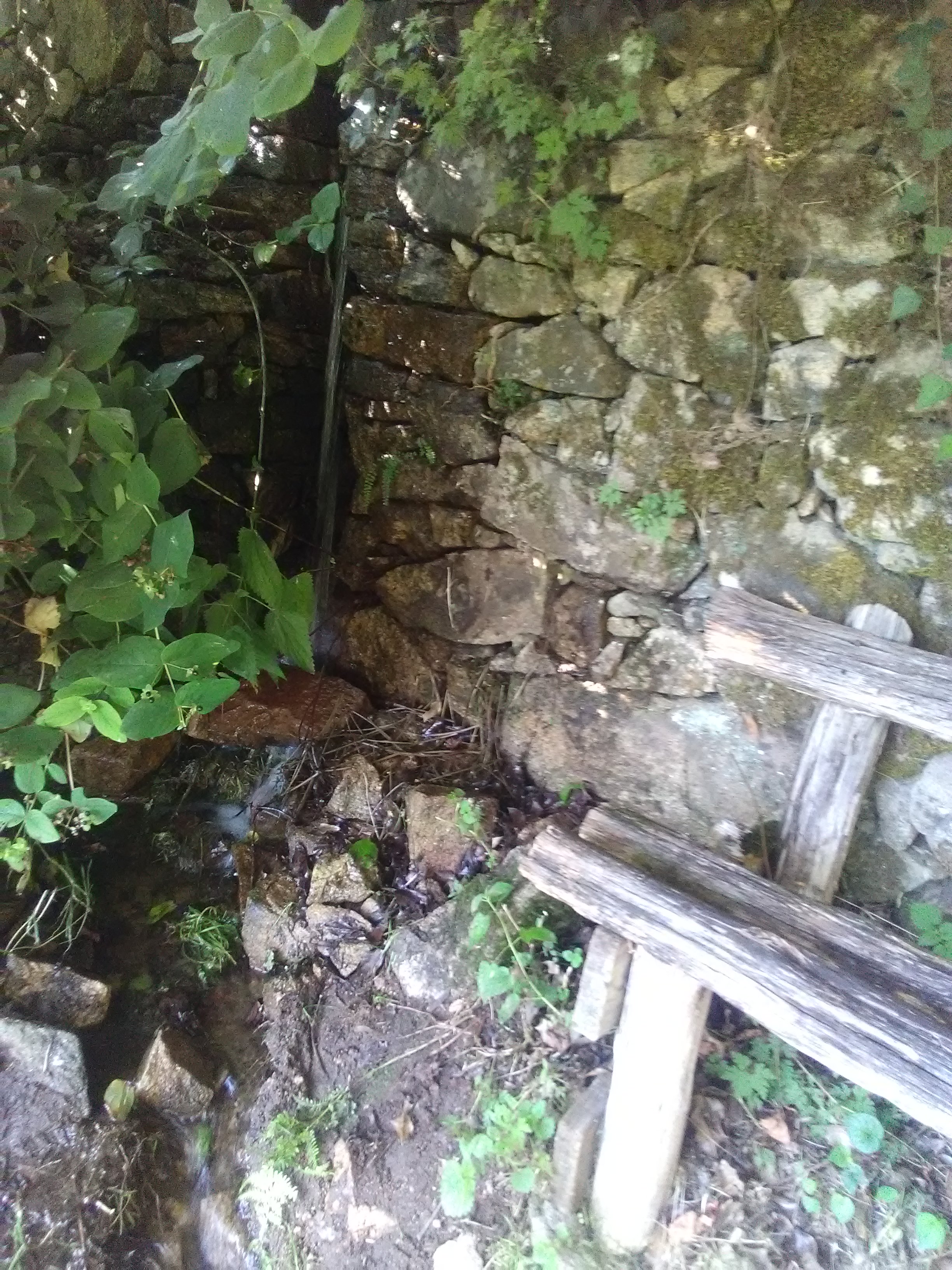 Photo n° 2 de l'avis de GoutteGoutte.. fait le 10/09/2019 à 20:16