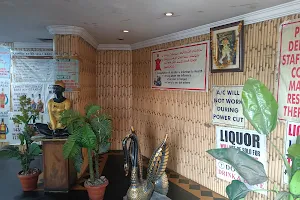 Madhushala Restaurant & Bar image