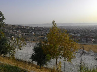 Gülser Mehmet Bolluk Anadolu Lisesi