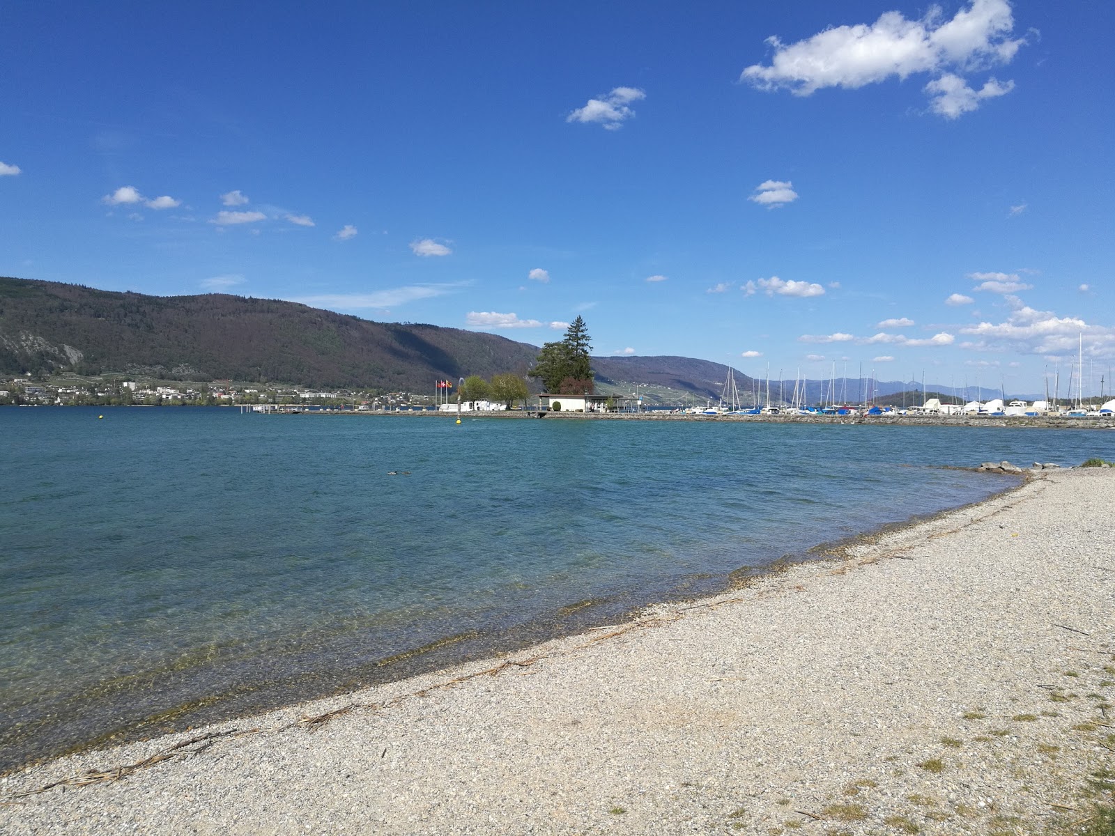 Foto di Erlach Strand con una superficie del piccoli ciottoli grigi