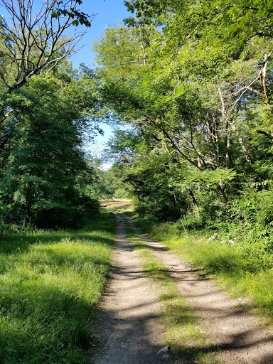 State Park «Bradley Palmer State Park», reviews and photos, 40 Asbury St, Topsfield, MA 01983, USA