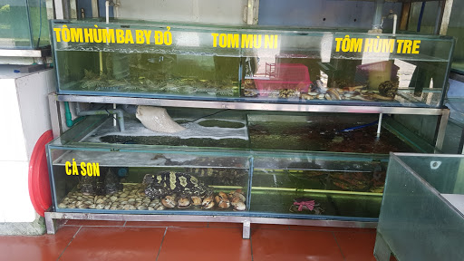 Top 20 cửa hàng mai Thị xã Sơn Tây Hà Nội 2022