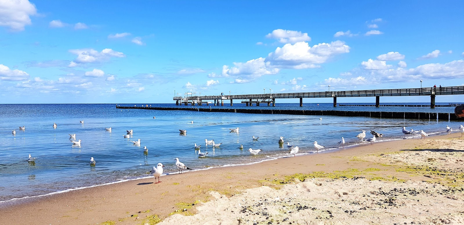 Photo de Koserow Strand situé dans une zone naturelle