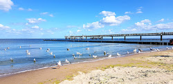 Photo de Koserow Strand situé dans une zone naturelle