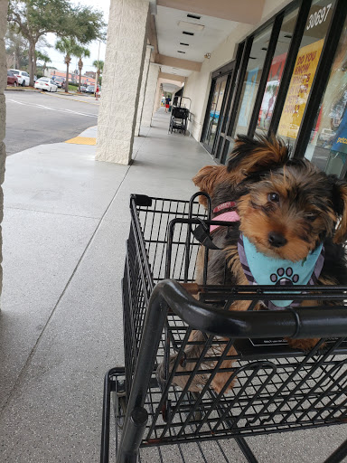 Pet Supply Store «Petco Animal Supplies», reviews and photos, 30697 US Hwy 19 N, Palm Harbor, FL 34684, USA