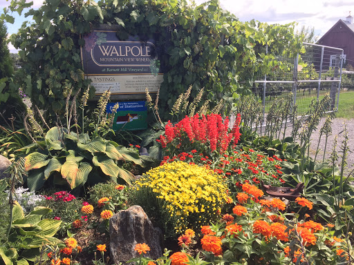 Winery «Walpole Mountain View Winery», reviews and photos, 114 Barnett Hill Rd, Walpole, NH 03608, USA