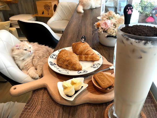 喵日子café｜貓咪咖啡廳｜網美咖啡廳