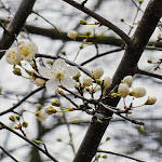 Photo n°7 de l'avis de Daniel.i fait le 07/03/2024 à 10:12 sur le  Precise Resort Bad Saarow à Bad Saarow