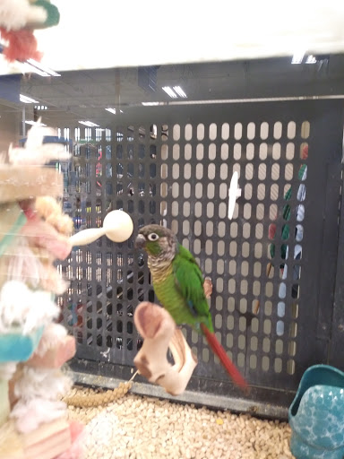 Pet Supply Store «PetSmart», reviews and photos, 300 NJ-18, East Brunswick, NJ 08816, USA