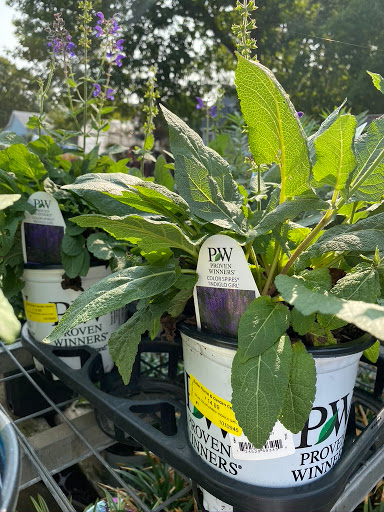 Florist «Butler Florist & Garden Center», reviews and photos, 416 Park Rd, West Hartford, CT 06119, USA