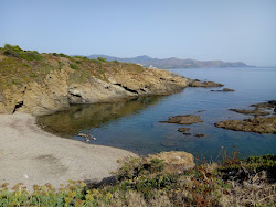 Photo de Platja d'en Robert zone sauvage