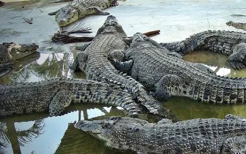 Teluk Sengat Crocodile Farm image