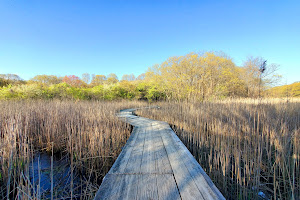 Forest River Conservation Area