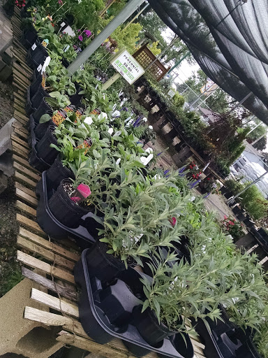 Florist «James Saunoris & Sons», reviews and photos, 6000 W 111th St, Chicago Ridge, IL 60415, USA