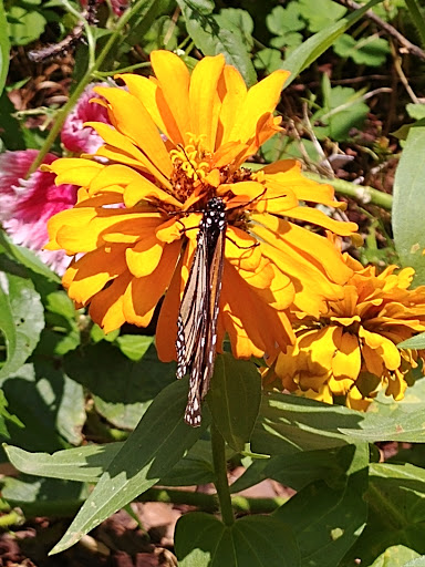 Non-Profit Organization «Lost River Cave», reviews and photos, 2818 Nashville Rd, Bowling Green, KY 42101, USA