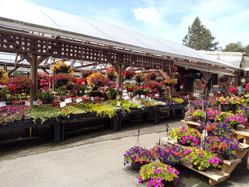 Western Independent Greenhouse: WIG Garden Centre Succulents+ reopen spring 2022