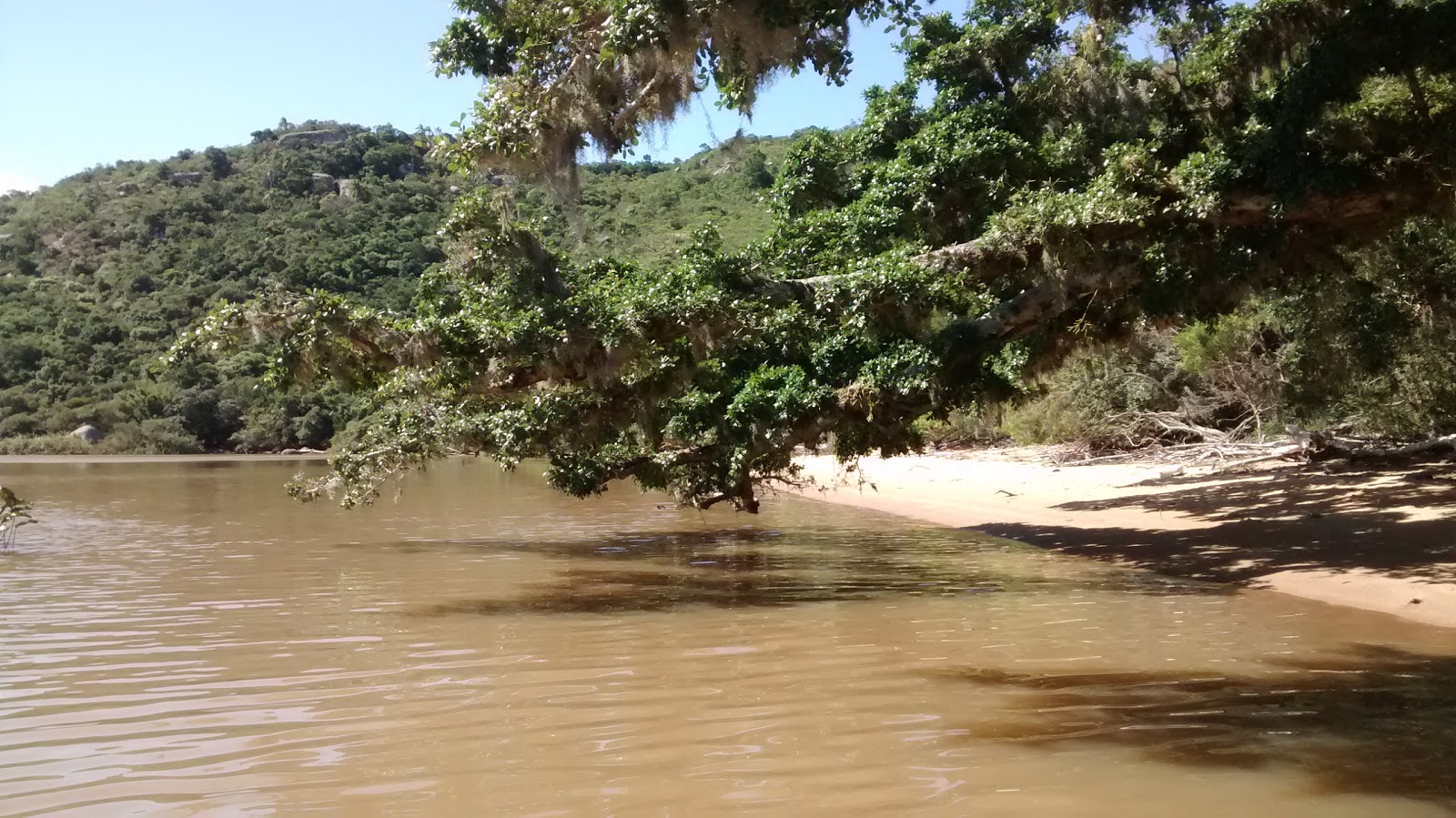 Foto van Praia do Sitio wilde omgeving
