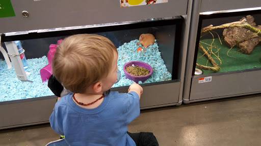 Pet Supply Store «Pet Supplies Plus», reviews and photos, 22124 Ecorse Rd, Taylor, MI 48180, USA