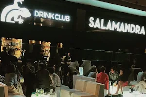 Salamandra Drink Club image