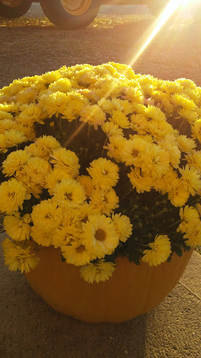 Lumber Store «Holmes Lumber», reviews and photos, 13431 National Rd SW, Reynoldsburg, OH 43068, USA