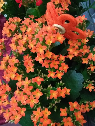 Grocery Store «Family Fare Supermarket», reviews and photos, 1510 Harlan Dr, Bellevue, NE 68005, USA