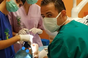 Studio Andrisano il dentista dei bambini DR COSIMO ANDRISANO image
