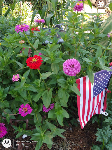 Thrift Store «Second Blessing Thrift Store Inc.», reviews and photos, 2323 Central Ave, Wichita, KS 67214, USA