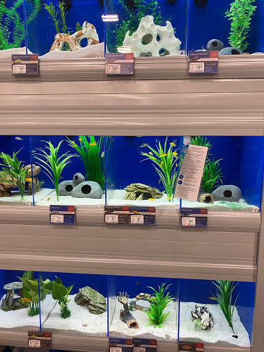 Pet Supply Store «PetSmart», reviews and photos, 1236 Greenbrier Pkwy, Chesapeake, VA 23320, USA