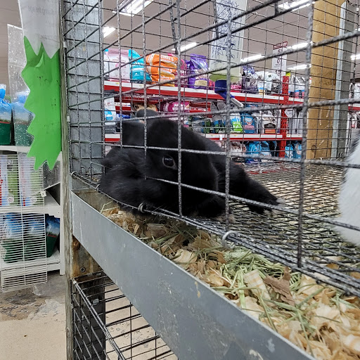 Department Store «Rural King», reviews and photos, 4000 W Bethel Ave, Muncie, IN 47304, USA