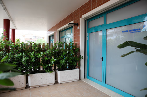 Pensioni per cani e dog hotel a Clinica Veterinaria City of Monopoli