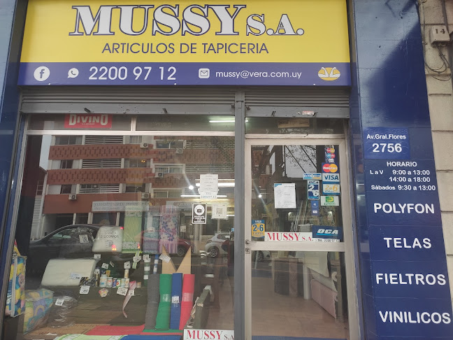 Mussy s.a.