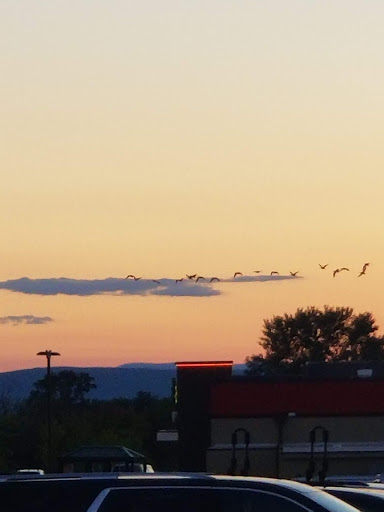 Department Store «HomeGoods», reviews and photos, 664 New Loudon Rd, Latham, NY 12110, USA