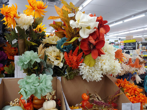 Discount Store «Dollar General», reviews and photos, 611 4th St SW, Montgomery, MN 56069, USA