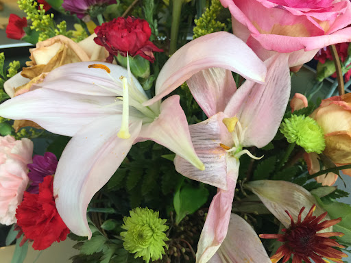 Florist «Greenville Flowers and Plants», reviews and photos, 2614 Wade Hampton Blvd, Greenville, SC 29615, USA